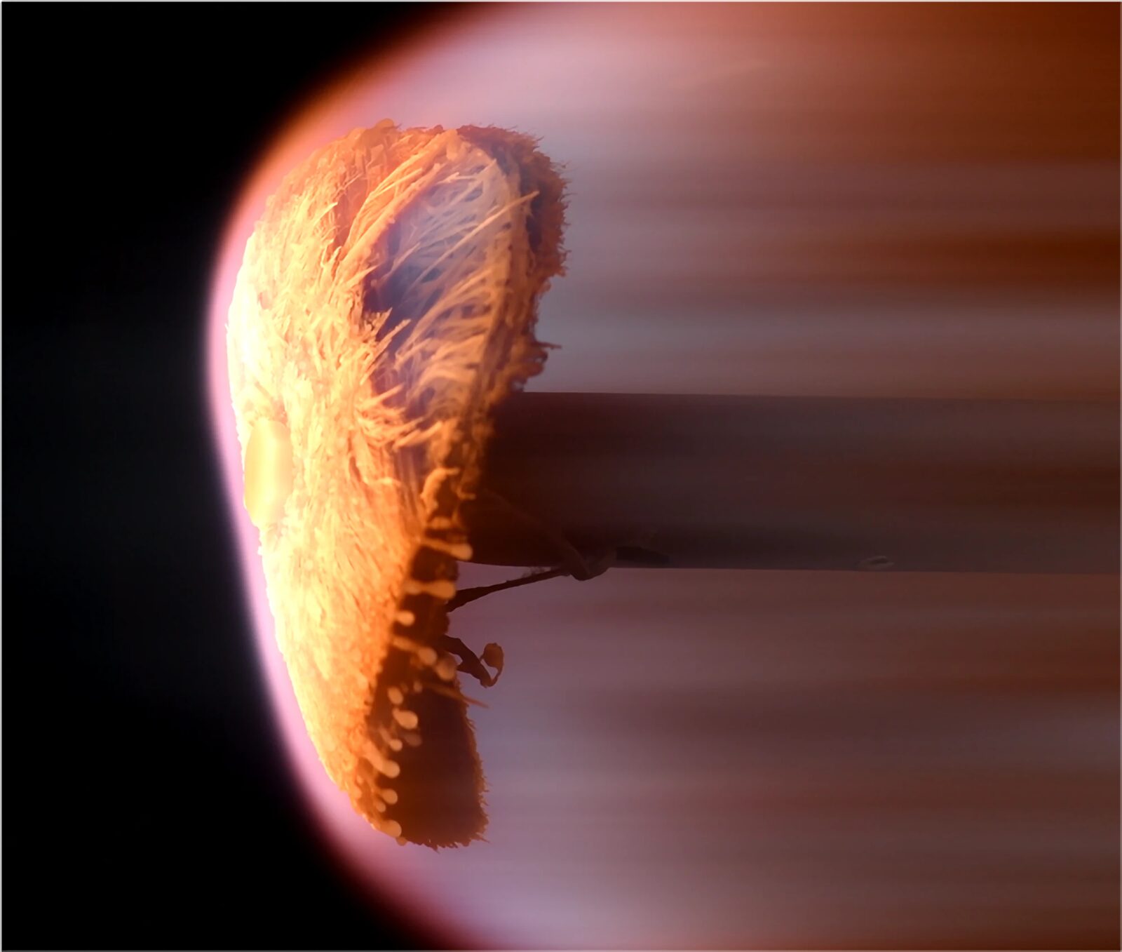 Simulation of LCP LEO DiMiseio™ demisable spacecraft component during atmospheric reentry