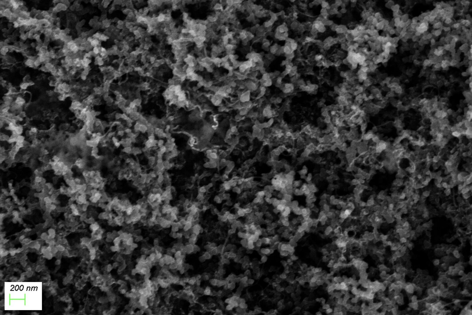 SEM image of an Elect Nano ultra-black optical coating surface with a visible 200 nanometer scale bar
