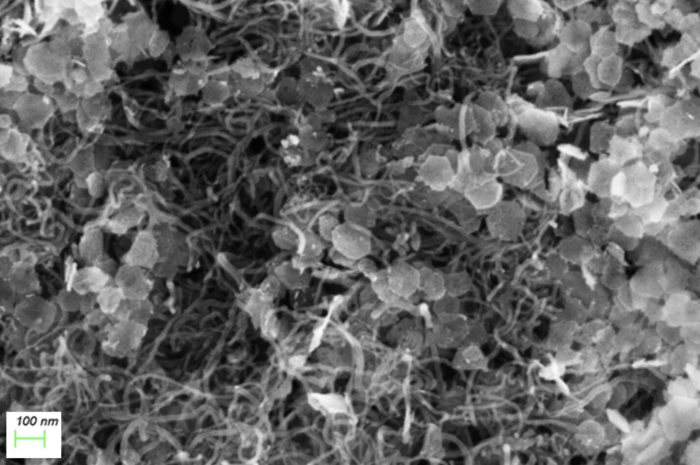 Scanning electron microscope image of a precision nanofiller composite with nanoscale carbon nanotube networks between dispersed particles.